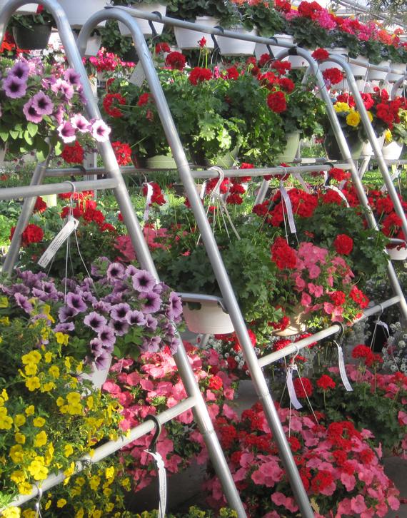 With Annuals, you have to spend money with us annually and we like that.