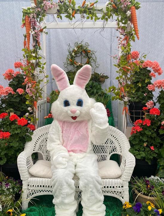 Easter Bunny Breakfast Planters & Photo Opportunity 